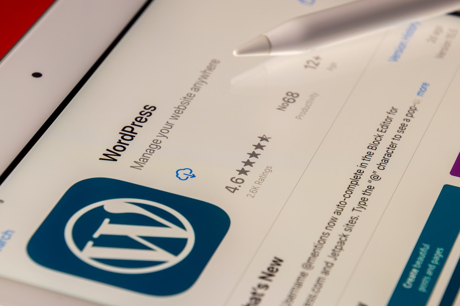 WordPress Advance